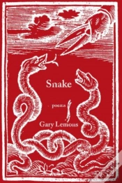 Capa do artigo Snake