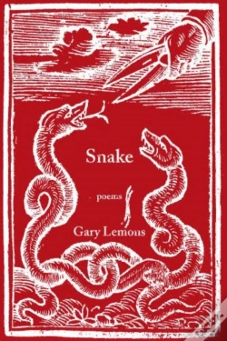 Capa do artigo Snake