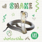 Snake - Preview