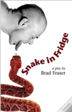 Capa do artigo Snake In Fridge