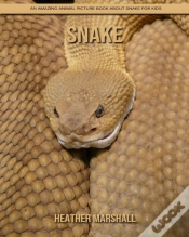 Capa do artigo Snake