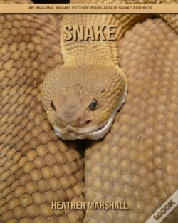 Capa do artigo Snake