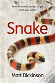 Capa do artigo Snake