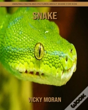 Capa do artigo Snake