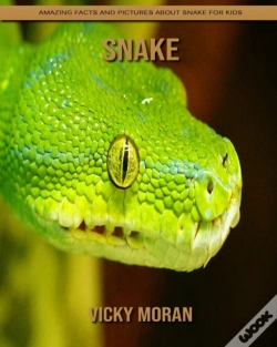 Capa do artigo Snake