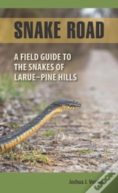Snake Road