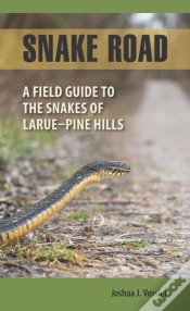 Capa do artigo Snake Road