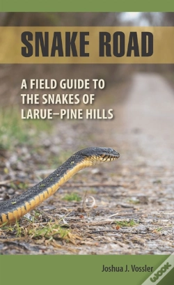 Capa do artigo Snake Road