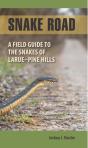 Snake Road - Preview