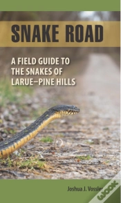 Capa do artigo Snake Road