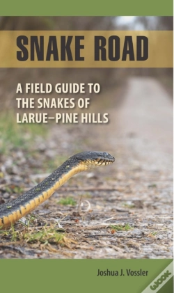 Capa do artigo Snake Road