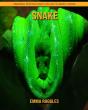 Snake - Preview