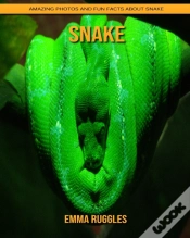 Capa do artigo Snake