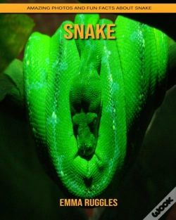 Capa do artigo Snake