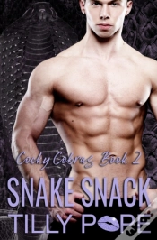 Capa do artigo Snake Snack