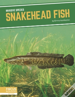 Capa do artigo Snakehead Fish