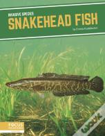 Snakehead Fish