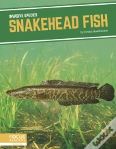 Snakehead Fish
