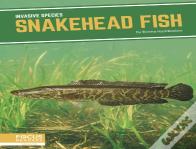 Snakehead Fish