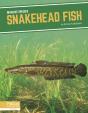 Snakehead Fish - Preview