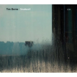 Capa do artigo Snakeoil - CD