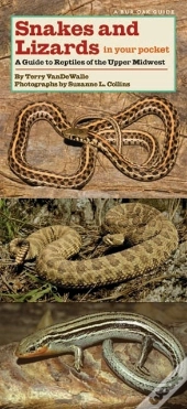 Snakes And Lizards In Your Pocket