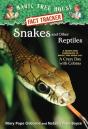 Snakes And Other Reptiles - Preview
