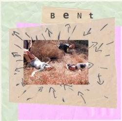 Capa do artigo Snakes and Shapes - CD