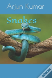 Capa do artigo Snakes