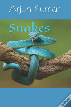 Capa do artigo Snakes