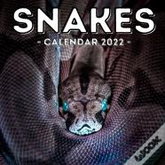 Snakes Calendar 2022