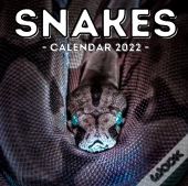 Snakes Calendar 2022