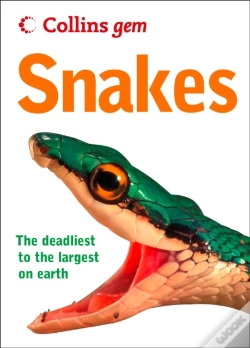Capa do artigo Snakes