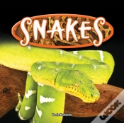 Capa do artigo Snakes