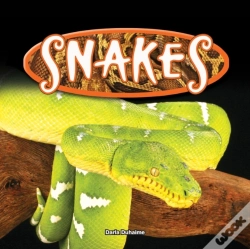 Capa do artigo Snakes