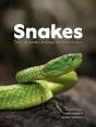 Snakes - Preview