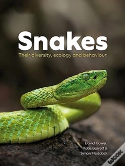 Capa do artigo Snakes