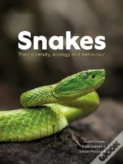 Capa do artigo Snakes