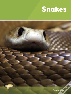 Capa do artigo Snakes