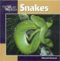 Snakes - Preview