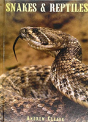 Snakes & Reptiles - Preview