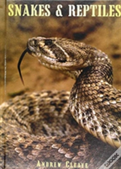 Capa do artigo Snakes & Reptiles