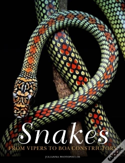 Capa do artigo Snakes