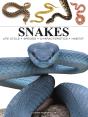 Snakes - Preview
