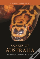 Snakes Of Australia