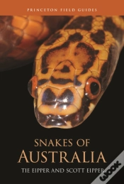 Capa do artigo Snakes Of Australia