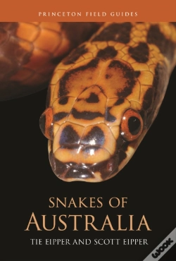 Capa do artigo Snakes Of Australia