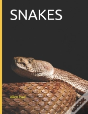 Capa do artigo Snakes