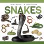 Snakes - Preview