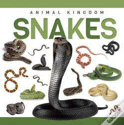 Capa do artigo Snakes
